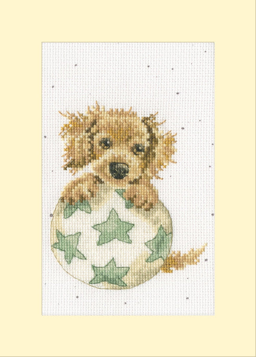 Bouncing Birthday XGC47 Counted Cross Stitch Kit