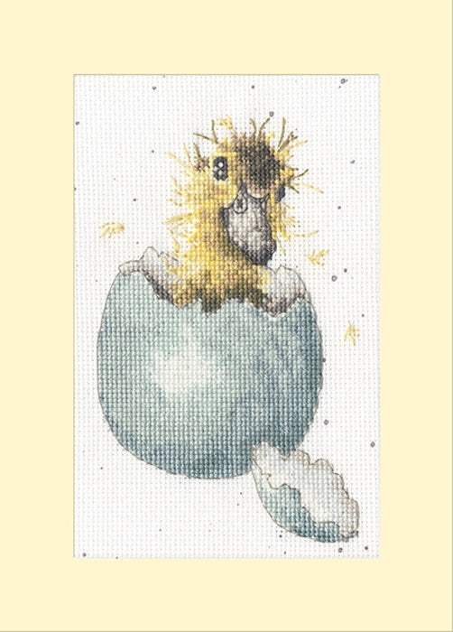 Peek-a-boo XGC48 Counted Cross Stitch Kit