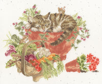 Purrrfect Spot XHD149 Counted Cross Stitch Kit