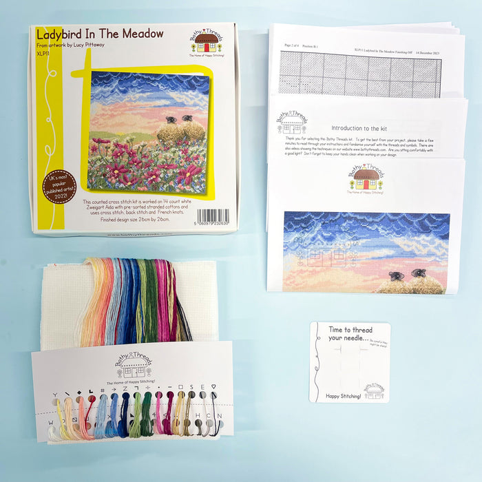 Ladybird In The Meadow XLP11 Counted Cross Stitch Kit