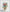 Bouquet of Amanita - PDF Cross Stitch Pattern
