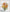 Bouquet of Chanterelles - PDF Cross Stitch Pattern