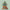 New Year's Basket - PDF Cross Stitch Pattern