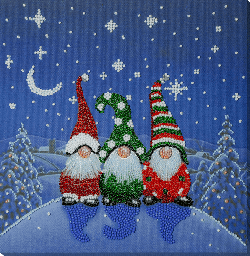 Bead Embroidery Kit - The three dwarfs AB-881 - Wizardi