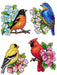 "Birds" 118CS Counted Cross-Stitch Kit - Wizardi