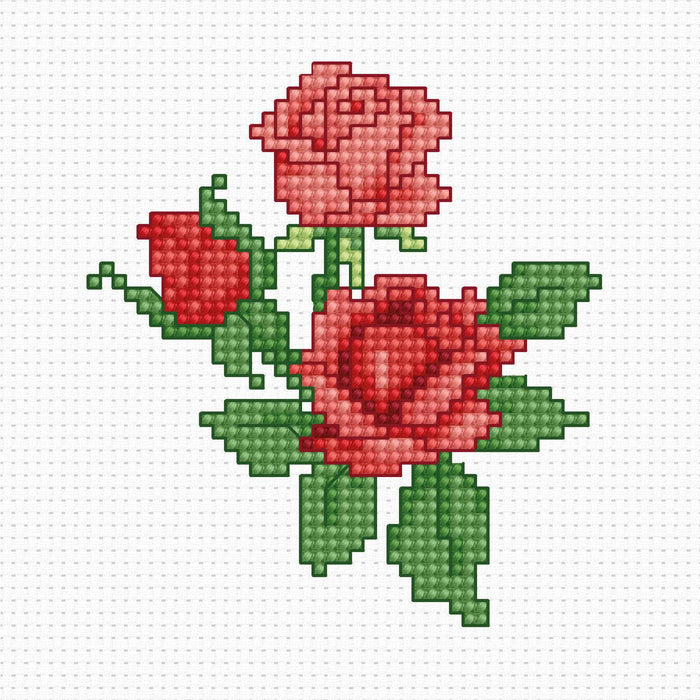 Red Roses B033L Counted Cross-Stitch Kit for Beginners