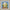 Sweet Knitter - PDF Cross Stitch Pattern