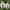 Geese cross stitch ornament kit site photo