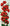 Red Poppies panel bead embroidery kit detail photo