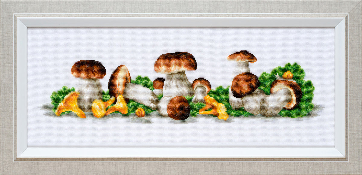 Mushroom Boom cross stitch kit flat full-design framed photo with porcini and chanterelles