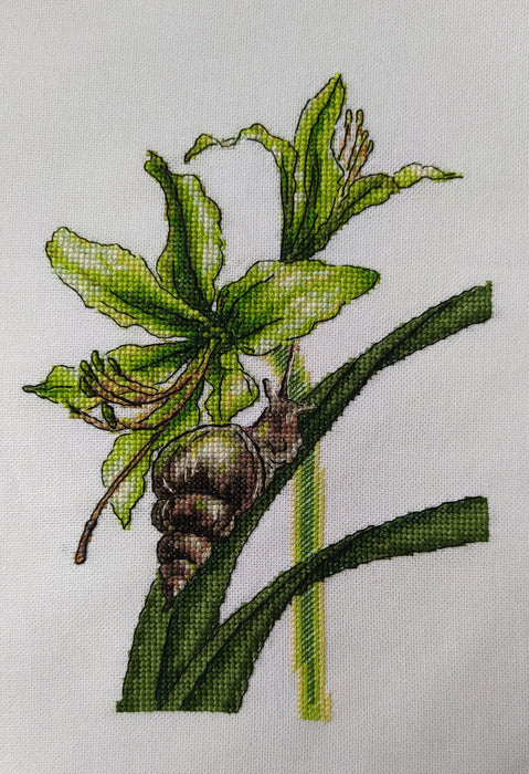 Snails - PDF Cross Stitch Pattern