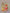 Snow Dreams - PDF Cross Stitch Pattern