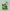 Hello! - PDF Cross Stitch Pattern