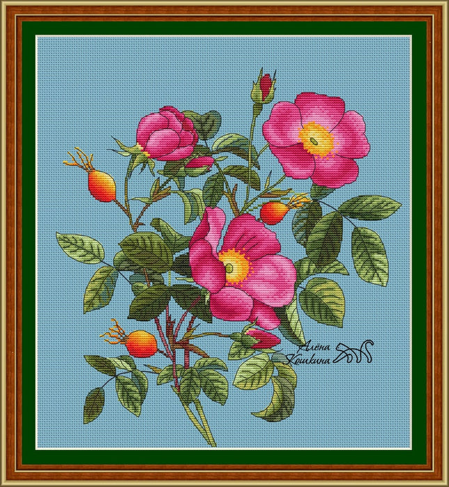 Rose hip - PDF Cross Stitch Pattern