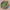 Green Dragon - PDF Cross Stitch Pattern