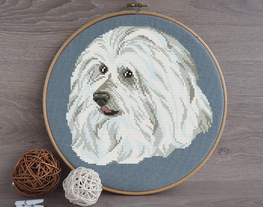 Coton de tulear - PDF Cross Stitch Pattern