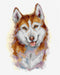 Husky 133CS Counted Cross-Stitch Kit - Wizardi