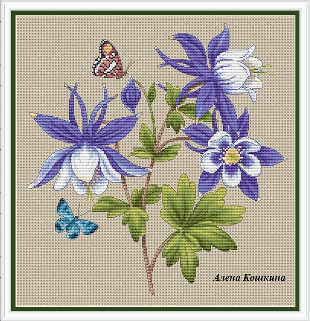 Aquilegia - PDF Cross Stitch Pattern