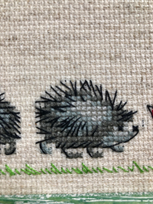 Hedgehogs R1711 Counted Cross Stitch Kit