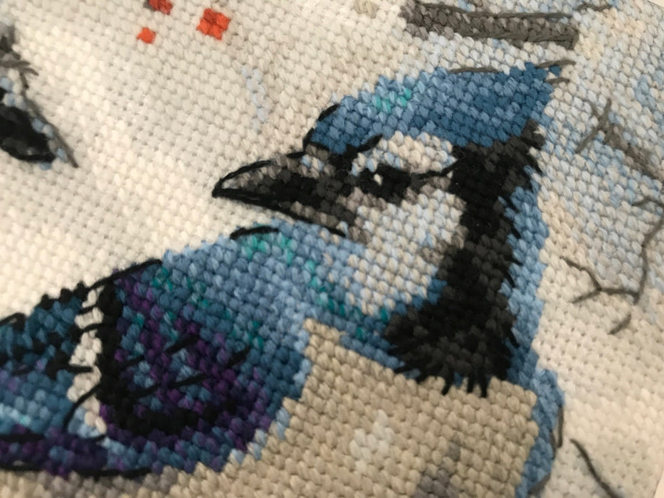 Blue Jays R1925 Counted Cross Stitch Kit