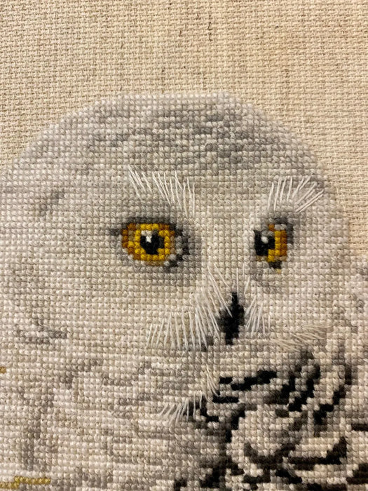 White Owl R1241 Counted Cross Stitch Kit