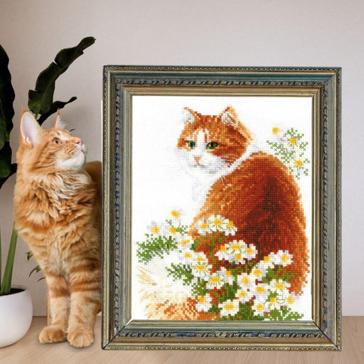 Ginger Meow 2110R Counted Cross Stitch Kit - Wizardi