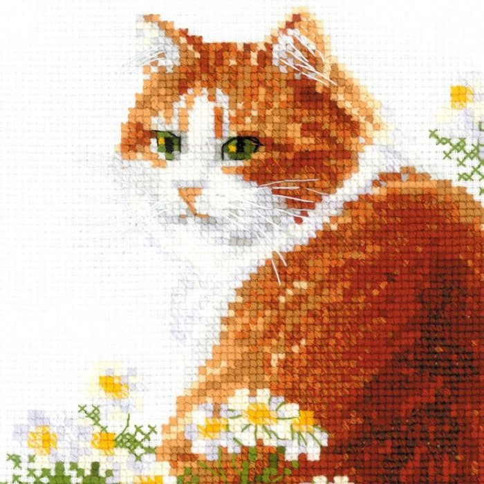 Ginger Meow 2110R Counted Cross Stitch Kit - Wizardi