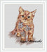 Kitten - PDF Cross Stitch Pattern - Wizardi