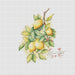 Lemons - PDF Cross Stitch Pattern - Wizardi
