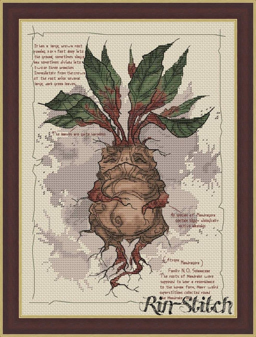 Mandrake - PDF Cross Stitch Pattern - Wizardi