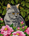 Needlepoint canvas for halfstitch without yarn Kitten in the Garden 2582H - Wizardi