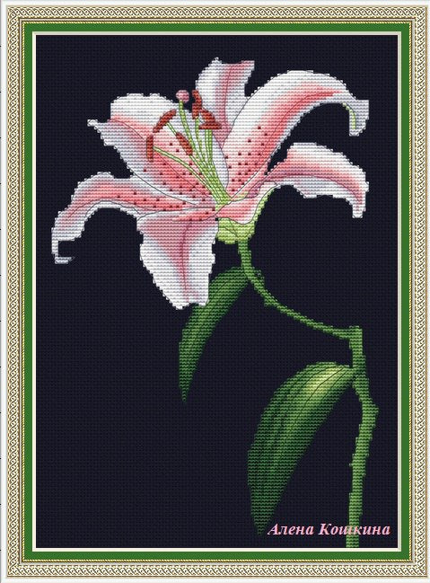 Pink Lily - PDF Cross Stitch Pattern