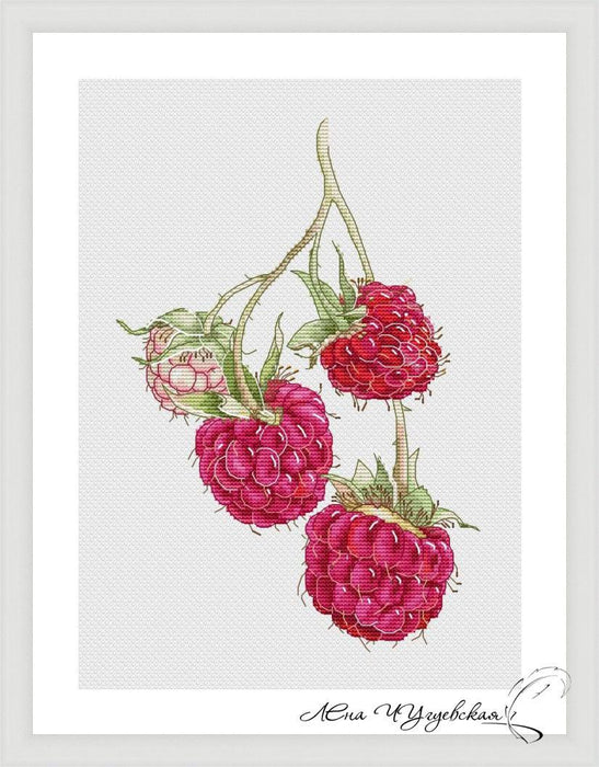 Raspberries - PDF Cross Stitch Pattern - Wizardi