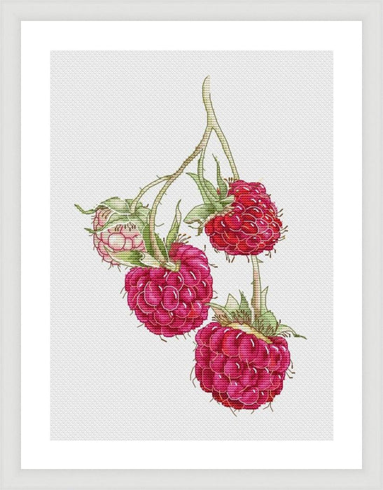 Raspberries - PDF Cross Stitch Pattern - Wizardi