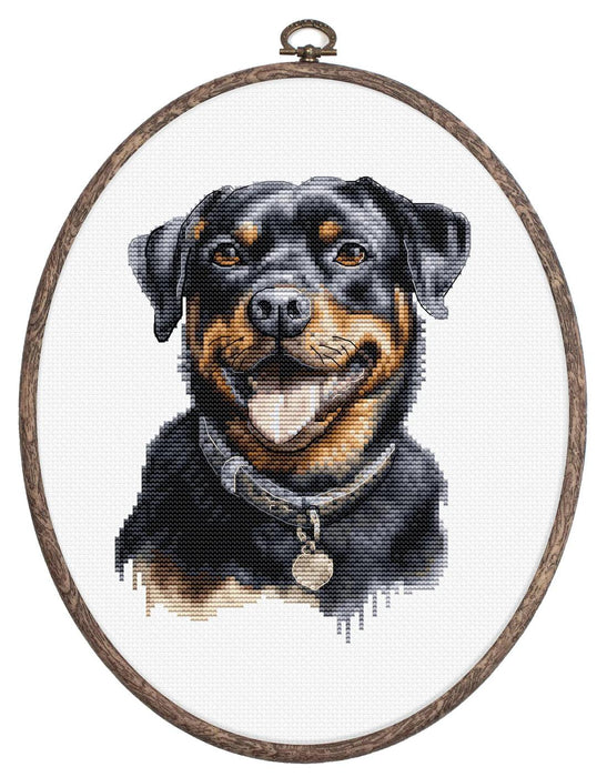 Rottweiler BC229L Counted Cross-Stitch Kit - Wizardi