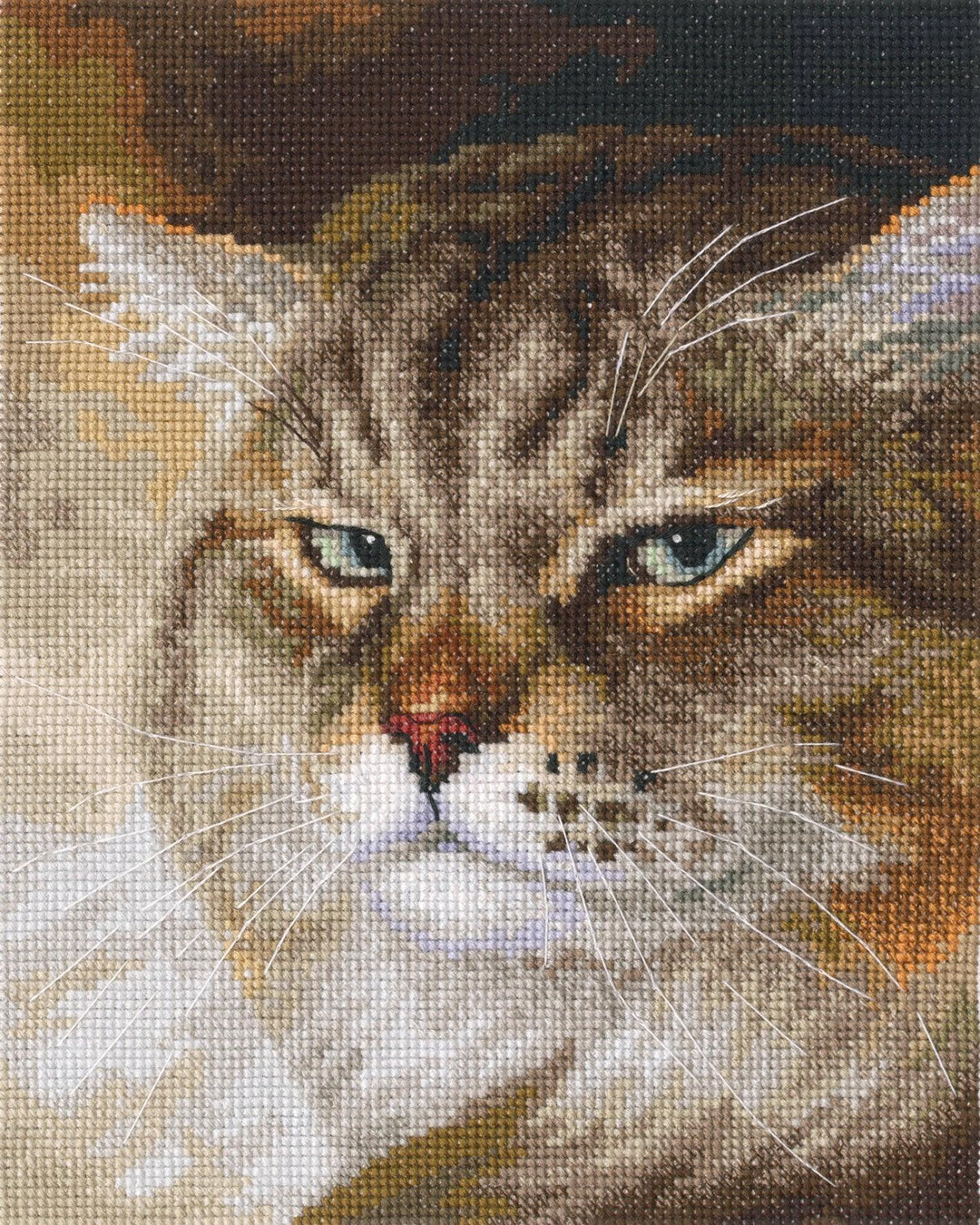 Sly and extremely beautiful. ''MACHO'' M995 Counted Cross Stitch Kit - Wizardi