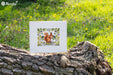 Squirrel K-146A Counted Cross-Stitch Kit - Wizardi