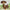 Dachshund TN-0484 bead embroidery kit (source: stitcher.co.uk)