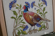 The Pheasant K-149A Counted Cross-Stitch Kit - Wizardi