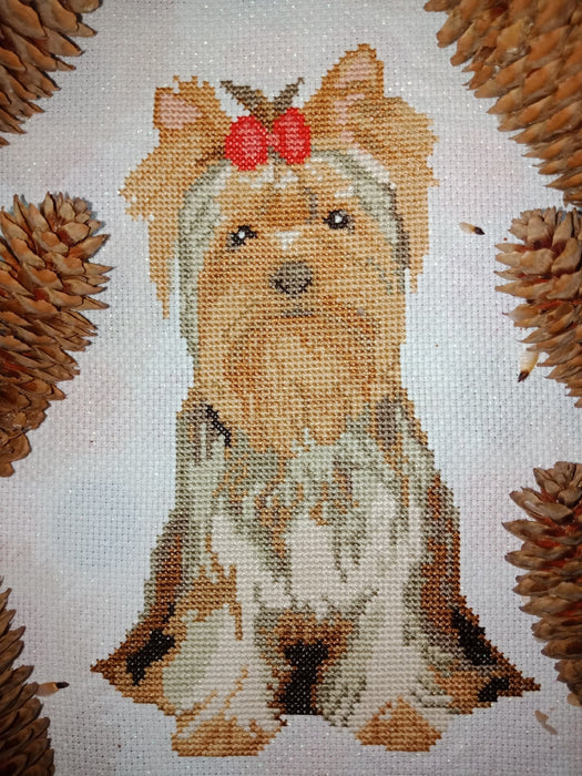 Yorkshire Terrier - PDF Cross Stitch Pattern