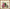 Hollyhock Cottage K-314 Counted Cross-Stitch Kit