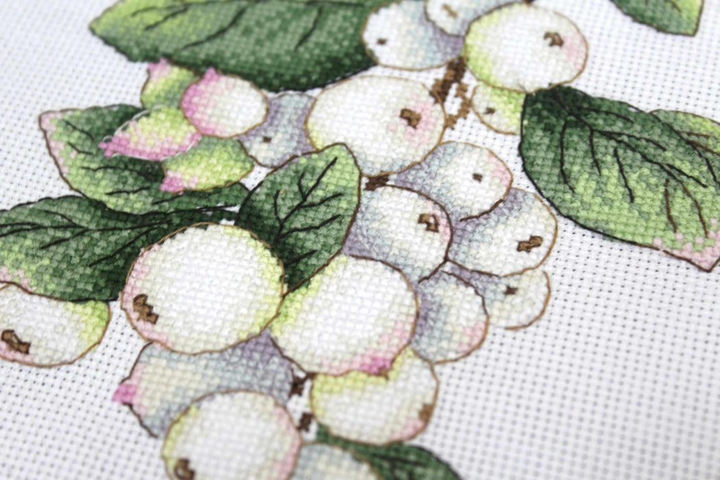 Berries SNV-662 Counted Cross Stitch Kit - Wizardi
