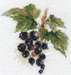 Black Currant 0-141 Counted Cross-Stitch Kit - Wizardi
