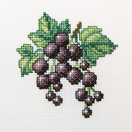Blackcurrant H253 Counted Cross Stitch Kit - Wizardi