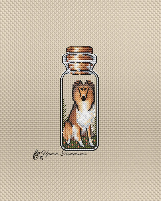 Border Collie Bottle on Plastic Canvas - Dog Puppy PDF Counted Cross Stitch Pattern - Wizardi