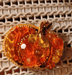 BP-242C Beadwork kit for creating brooch Crystal Art "Pumpkin" - Wizardi
