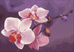Branch of Orchids WD038 14.9 x 10.6 inches Wizardi Diamond Painting Kit - Wizardi