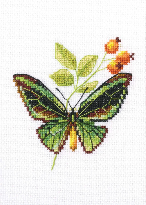Briar and butterfly EH363 Counted Cross Stitch Kit - Wizardi