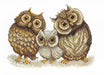 BT-067C Counted cross stitch kit Crystal Art "Family of owls" - Wizardi