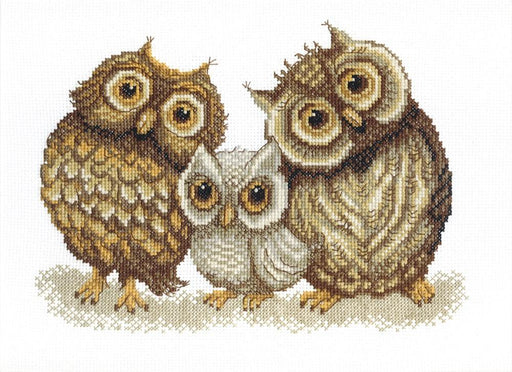 BT-067C Counted cross stitch kit Crystal Art "Family of owls" - Wizardi